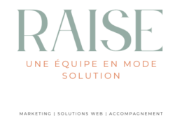 Raise Solutions Marketing Numérique